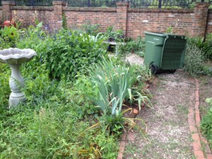 Before Governor's Mansion gardening.